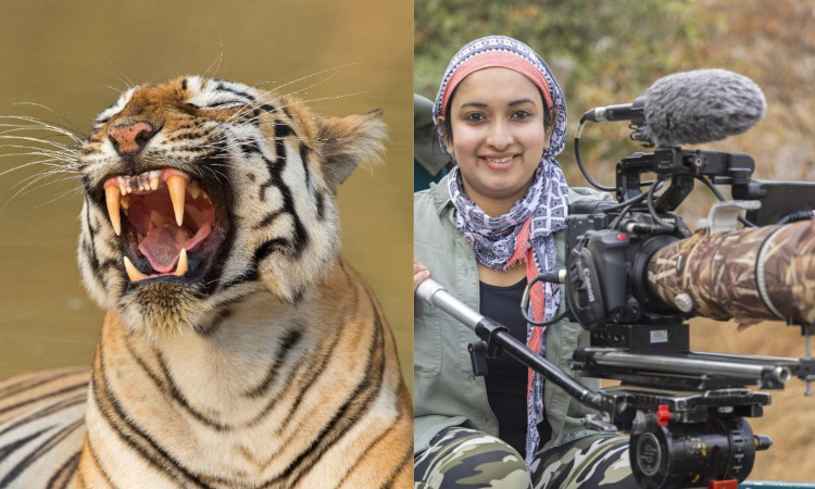 Visual storytelling can humanise wild, says award-winning wildlife filmmaker Aishwarya Sridhar Visual storytelling can humanise wild, says award-winning wildlife filmmaker Aishwarya Sridhar