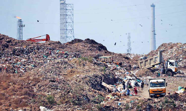 Green Chennai Initiative: Goal to make city people-centric, a first in India, with zero wastage