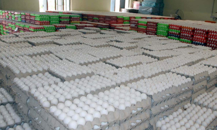 After a dip, egg prices have increased marginally