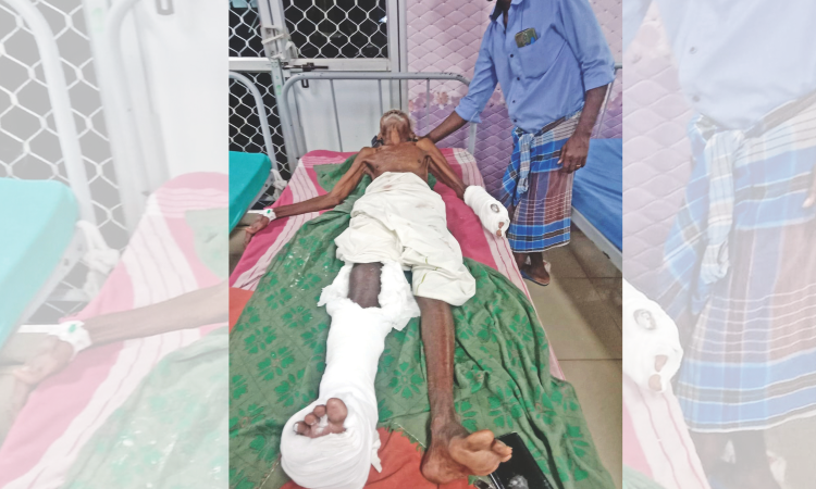 Agricultural labourer injured in boar attack in Thanjavur