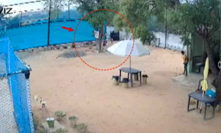 Madurai: Stray dog mauls father and son; CCTV clip sparks concerns Madurai: Stray dog mauls father and son; CCTV clip sparks concerns