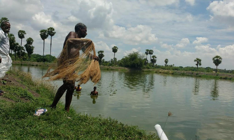 High potential for inland aquafarming visible in TN High potential for inland aquafarming visible in TN