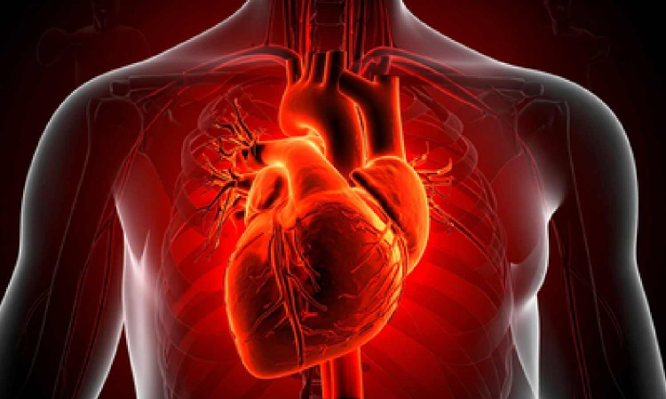 Genes, binge drinking, stress behind surging heart-related deaths in young adults