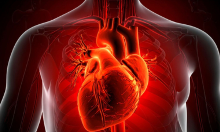 Covid can accelerate ageing in blood vessels by 5 years in women: Study