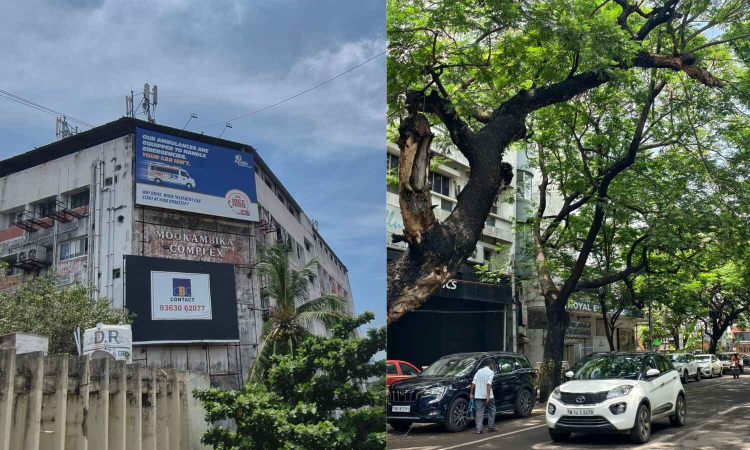 Alwarpet, a neighbourhood etched in quiet legacy