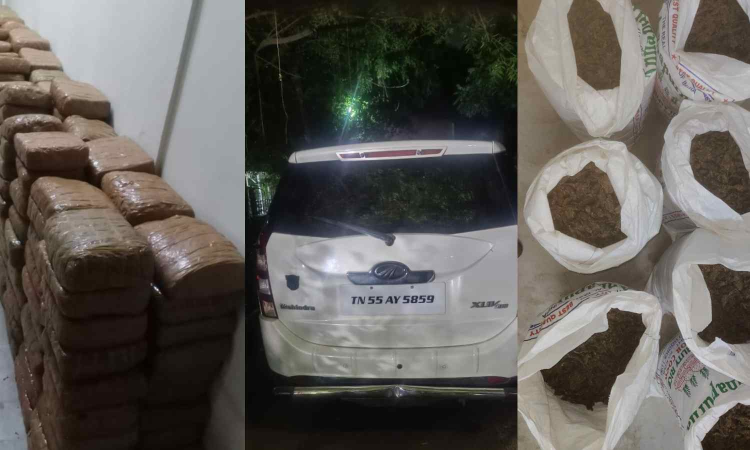 NCB seizes 590 kg ganja in TN, arrests six members of narcotics syndicate NCB seizes 590 kg ganja in TN, arrests six members of narcotics syndicate