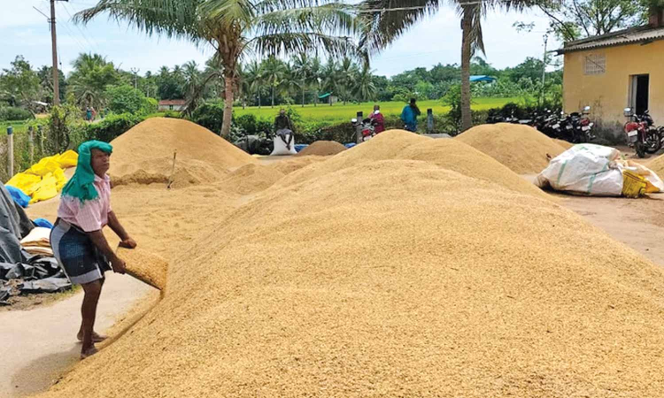 Tamil Nadu: Years after announcement, mobile DPCs a non-starter