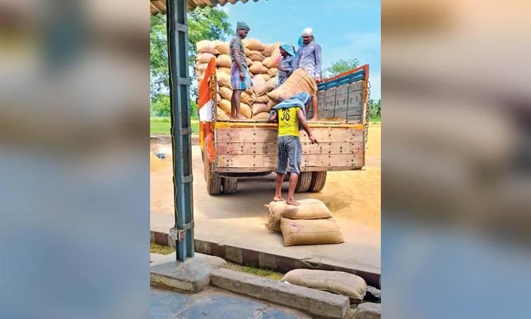 Find ways to prevent private players in procurement: Delta farmers to govt