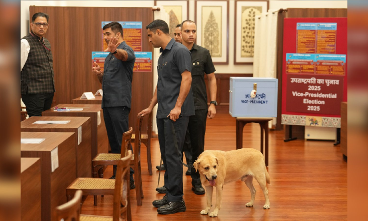 Voting begins for vice presidential election; PM Narendra Modi first to cast vote
