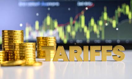 Solution to tariff issues with US likely in eight to ten weeks: CEA