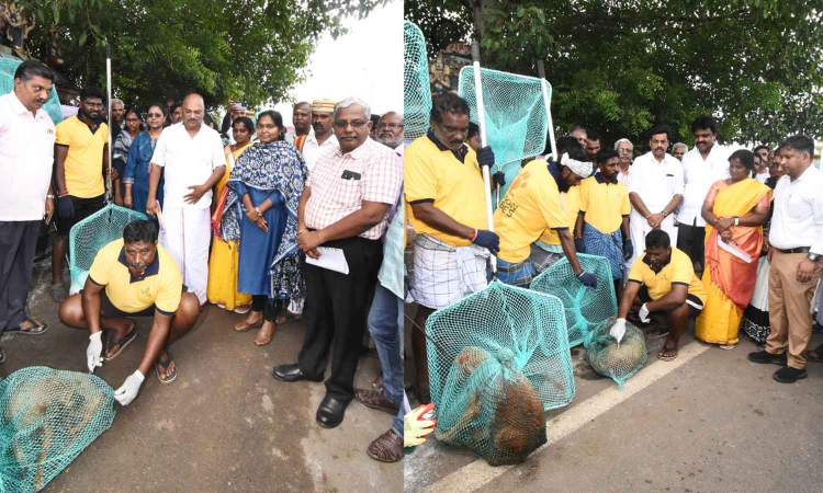 Anti-rabies drive launched in Thanjavur; 60,000 dogs to be vaccinated