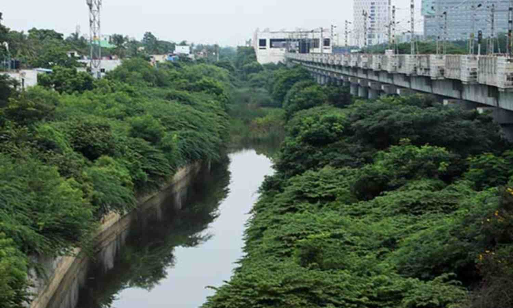 Buckingham Canal to get a fresh lease of life as PWD plans to restore the stretch