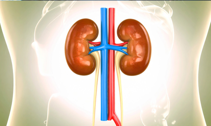 Young night shift workers more at risk of developing kidney stones: Study