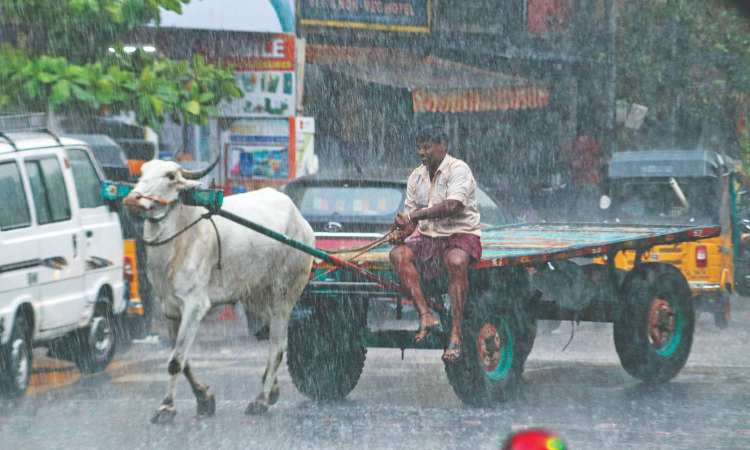 Tamil Nadu: SW monsoon bids adieu on normal note