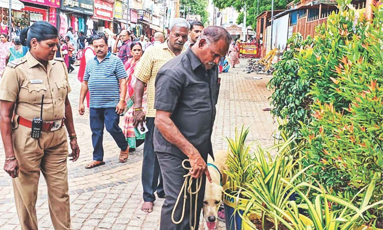 Works apace for Meenakshi temple consecration in Dec