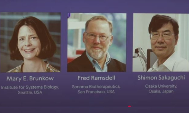 The Nobel Prize in medicine goes to 3 scientists for work on peripheral immune tolerance