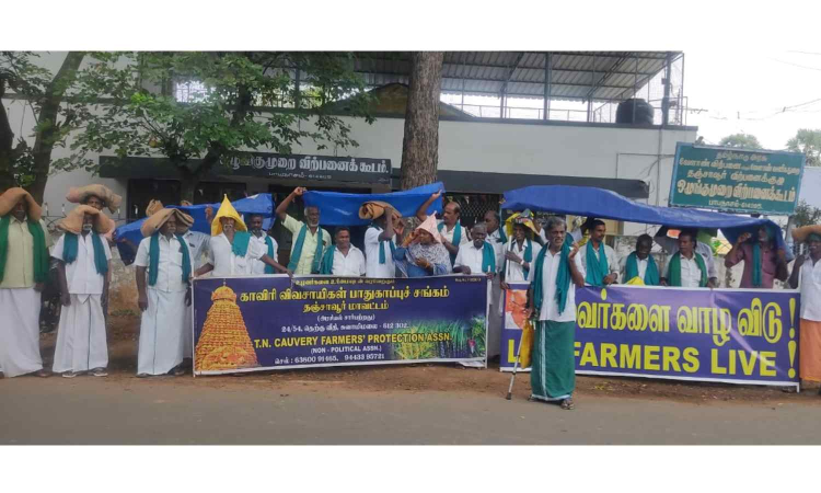 Tamil Nadu: Delta farmers protest seeking relaxation of moisture limit, early paddy procurement