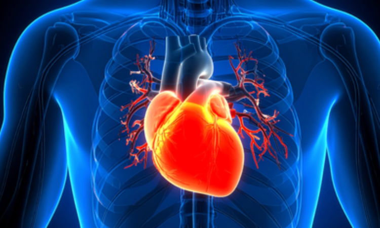 Long Covid patients more likely to suffer from unusual heart rhythm disorder Long Covid patients more likely to suffer from unusual heart rhythm disorder