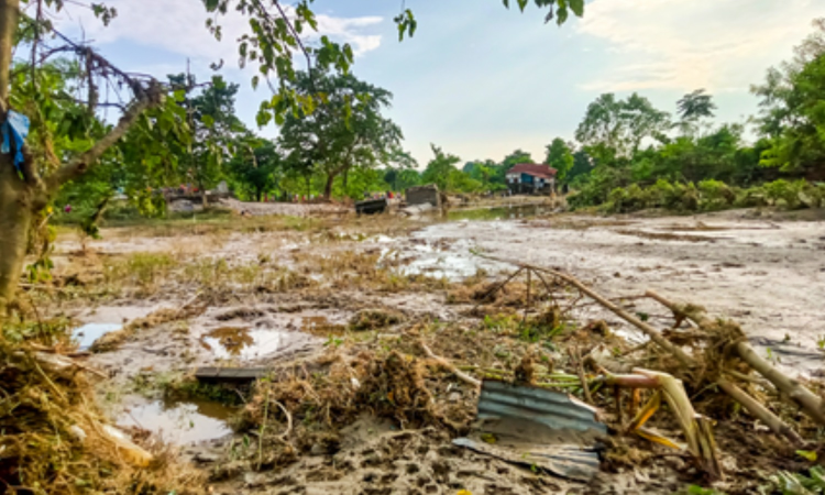 North Bengal landslides: Death toll rises to 39, resecures reach remote areas North Bengal landslides: Death toll rises to 39, resecures reach remote areas