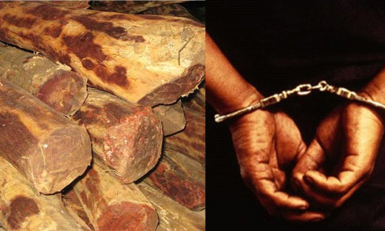 Sandalwood worth Rs 50 lakh seized in TNs Erode; two arrested Sandalwood worth Rs 50 lakh seized in TNs Erode; two arrested
