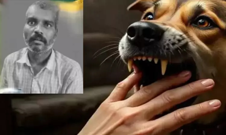 Months after dog bite, Tiruvannamalai farmer dies of rabies; third death in district this year