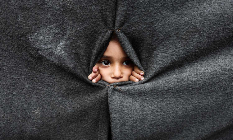 Hope rekindled: Cease-fire reached, leadership needed Hope rekindled: Cease-fire reached, leadership needed