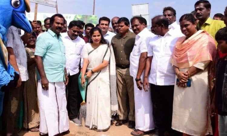 Saplings of 1.50 lakh palm trees planted across coastal areas in Chennai to reduce sea erosion
