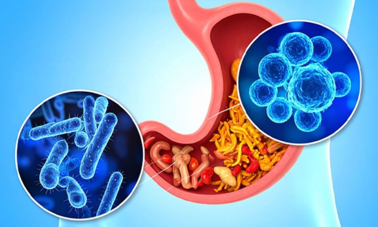 A healthier gut may help improve depression and anxiety, says study A healthier gut may help improve depression and anxiety, says study