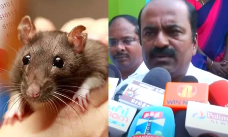 Students recovering; college campus being monitored: Tirunelveli District Collector on rat fever outbreak Students recovering; college campus being monitored: Tirunelveli District Collector on rat fever outbreak