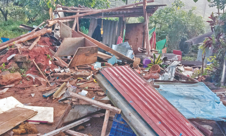 Elephant herd go on rampage in Valparai